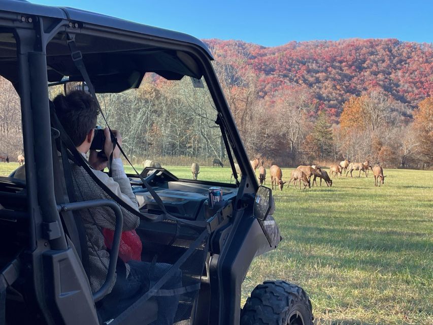 GUIDED UTV Sunset, Waterfall, & Eco Elk Wilderness Adventure - Recap