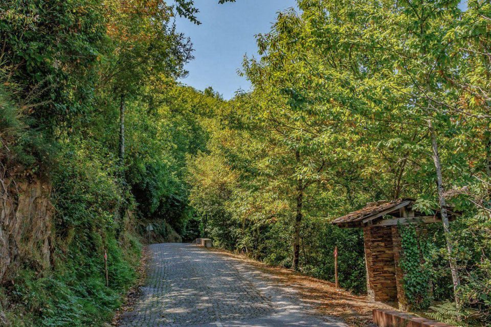Guided Van Tour in Piódão and Serra Do Açor, Coimbra - Morning Itinerary Stops