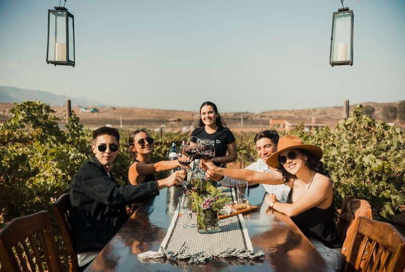 Guided Vineyard Tour with Wine Tasting at Rondo del Valle - Introduction