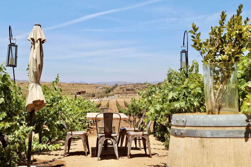 Guided Vineyard Tour with Wine Tasting at Rondo del Valle - Why This Tour Offers Real Value