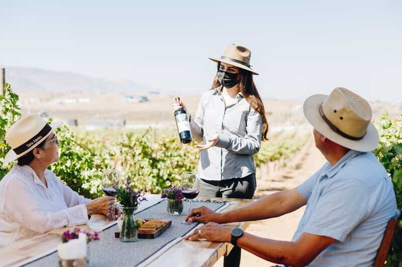 Guided Vineyard Tour with Wine Tasting at Rondo del Valle - The Sum Up