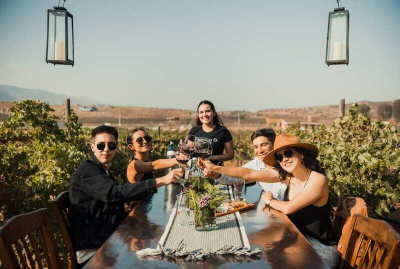 Guided Vineyard Tour with Wine Tasting at Rondo del Valle - FAQ