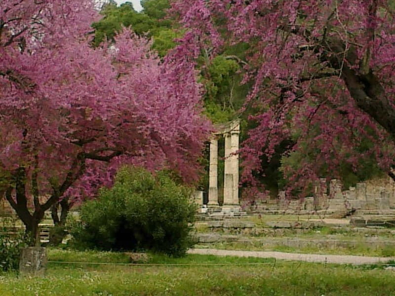 Guided visit to ancient Olympia with an Italian archaeologist tour guide - Key Points