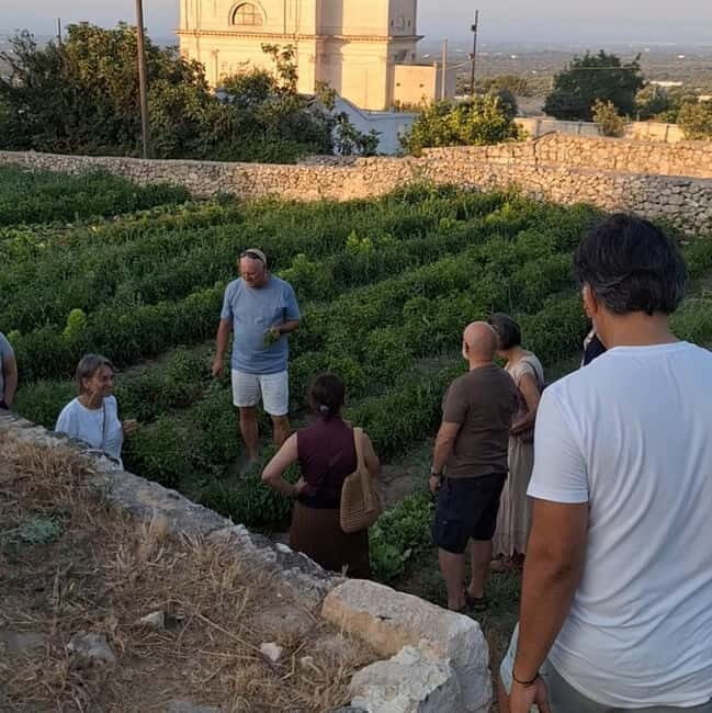 Guided visit to the Medieval Gardens of Ostuni - The Sum Up