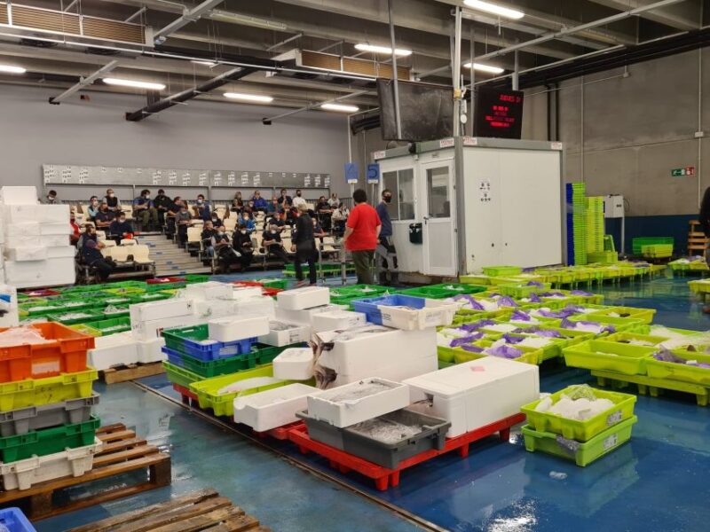 Guided Visit to the Pasaia Fish Market - Good To Know