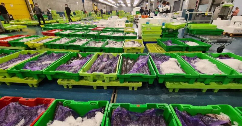 Guided Visit to the Pasaia Fish Market - Duration and Pricing Details