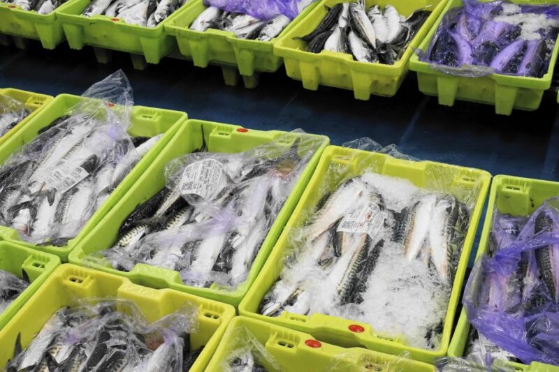 Guided Visit to the Pasaia Fish Market - Cancellation and Booking Policy