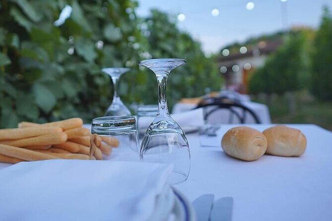 Guided Walk and Lunch in the Vineyard in Alba - A Detailed Look at the Experience
