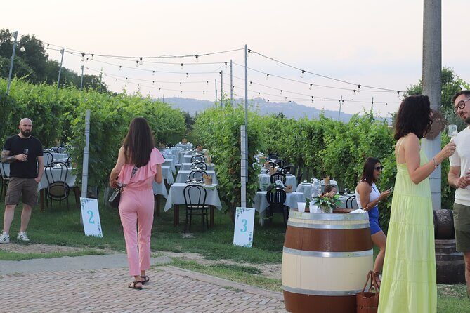 Guided Walk and Lunch in the Vineyard in Alba - Final Thoughts: Who Will Love This Tour?