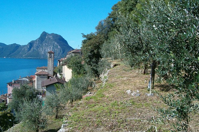 Guided Walk From Lugano to Gandria Promoted by Lugano Region - Return by Boat - Traveler Feedback and Ratings