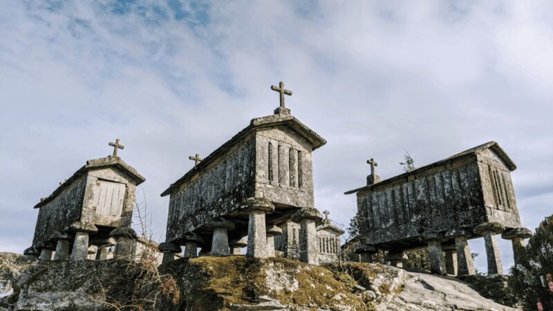 Guided Walk & Picnic Peneda Gerês National Park - The Sum Up
