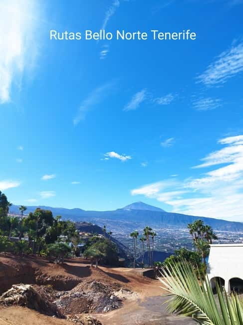 Guided walking tour in La Orotava 1:30 min, Tenerife - The Itinerary in Detail
