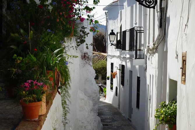 Guided Walking Tour of the Old Town of Frigiliana - Tour Logistics