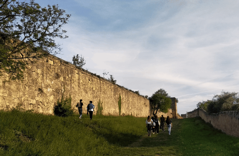 Guided Walking Tour on Verona Hillside - Itinerary Highlights