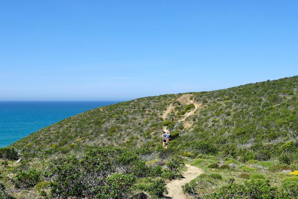 Guided Walk+Picnic: Western Algarve's Wild Beauty - Inclusion and Exclusion