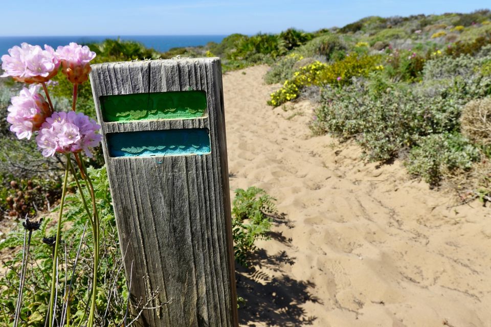 Guided Walk+Picnic: Western Algarve's Wild Beauty - Eco-Activity Experience