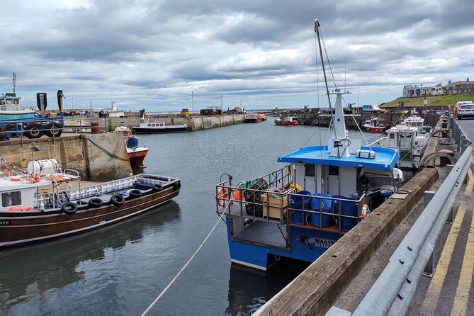 Guided Walks and Tours, Seahouses, Beadnell & Bamburgh - Accessibility and Participation