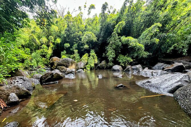 Guided Waterfall and Jungle Hiking Tour - A Closer Look at the Tour Experience