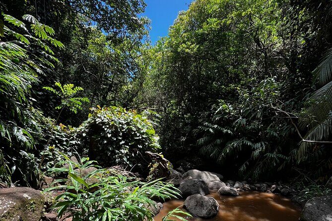 Guided Waterfall and Jungle Hiking Tour - FAQ