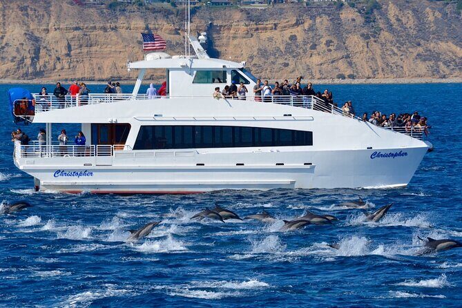 Guided Whale Watching Tour from Long Beach - Practical Tips for Travelers
