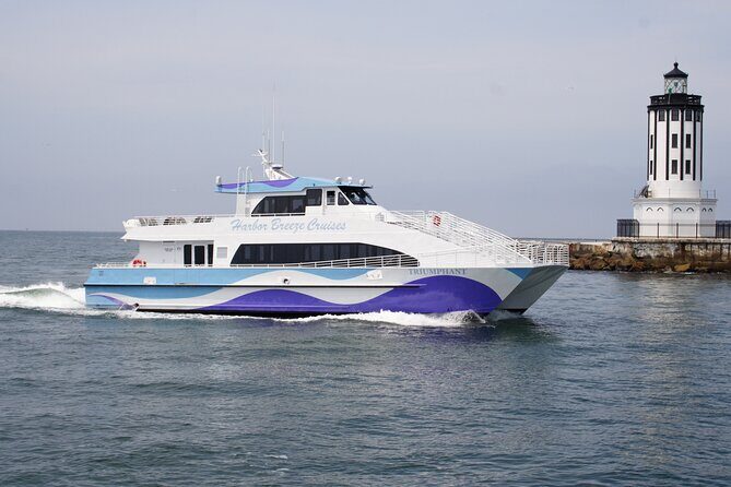 Guided Whale Watching Tour from Long Beach - Who Should Consider This Tour?