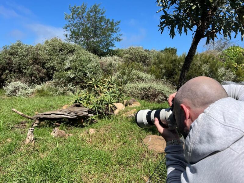 Guided Wildlife Tour and Forest Walk with Lunch Platter - Final Thoughts: Who Will Love This Tour?