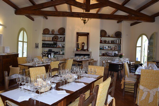 Guided Wine and Olive oil tasting - Who Will Enjoy This Experience?