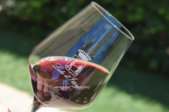 Guided Wine and Olive oil tasting - Key Points