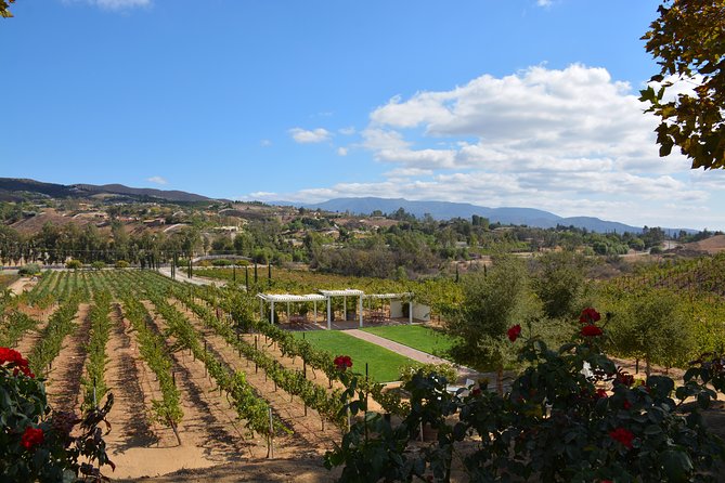 Guided Wine Tasting Tour of Temecula - Tour Highlights