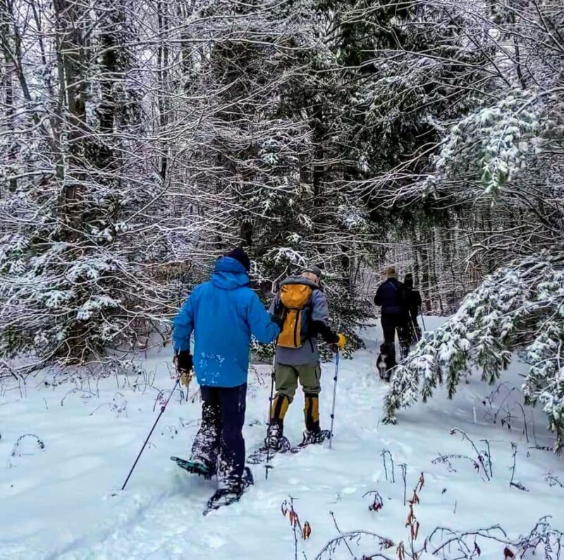 Guided Winter Snowshoe Adventure from Boston - Key Points