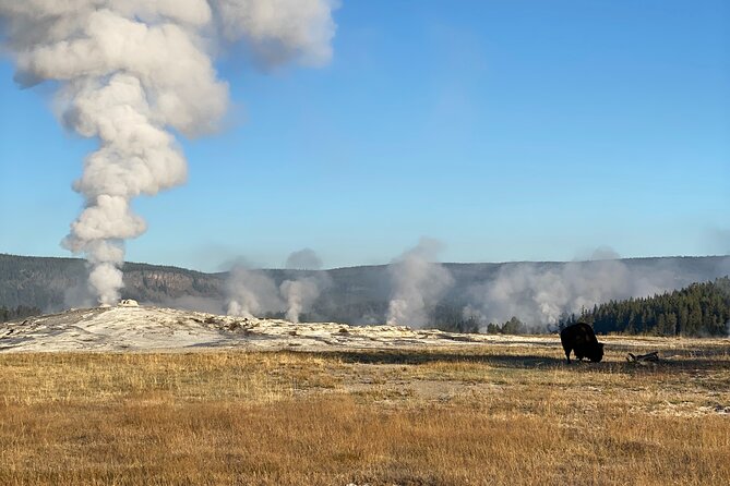 Guided Yellowstone National Park Trip - Pricing and Cancellation Policy