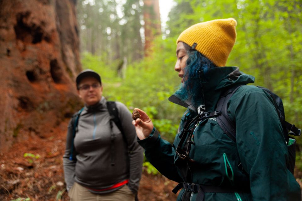 Guided Yosemite Valley Hiking Tour - Recap