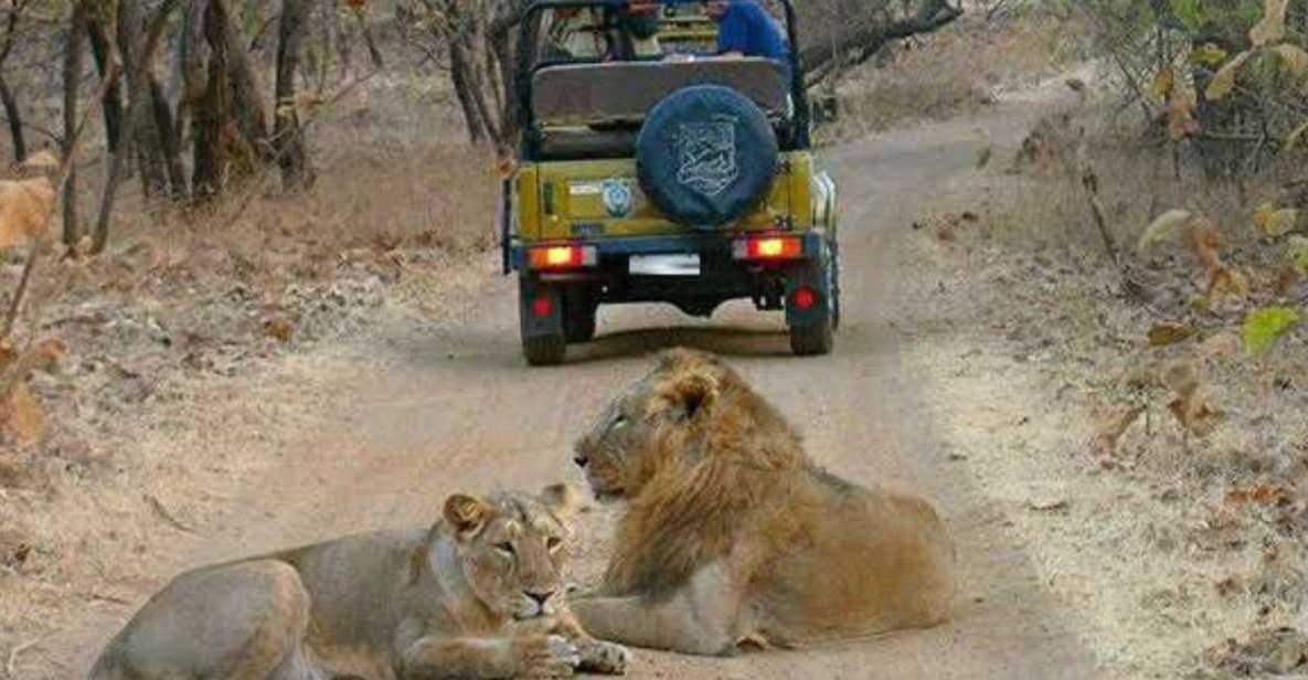 Gujarat: Gir National Park Guided Jeep Safari - Unique Wildlife Species