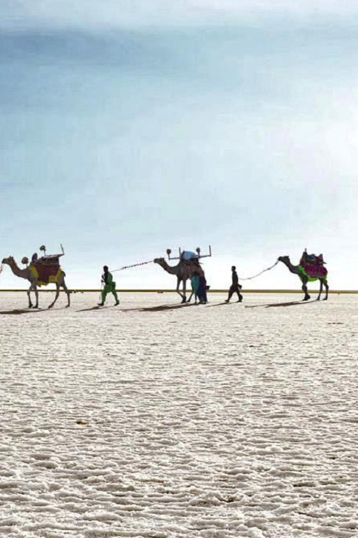 Gujarat Offbeat Tour 6 Night / 7 Days - Exclusions
