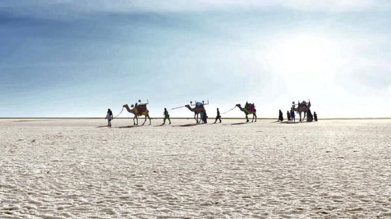 Gujarat Offbeat Tour 6 Night / 7 Days - Arrival in Ahmedabad