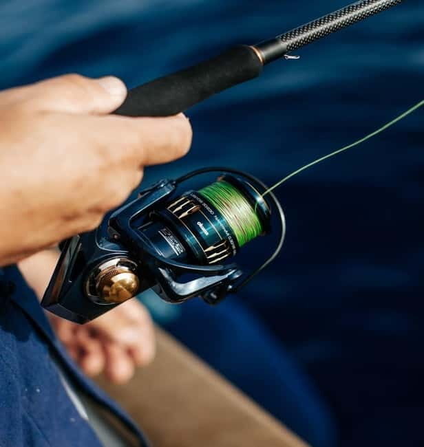 Gulf of Ajaccio: Private Fishing Trip in a Perle Blanche - Key Points