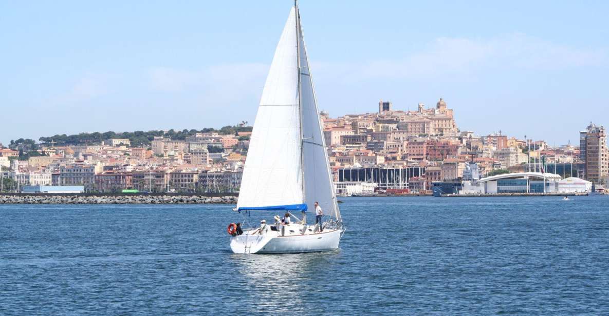 Gulf of Cagliari: Half-Day Sailing Excursion - Frequently Asked Questions