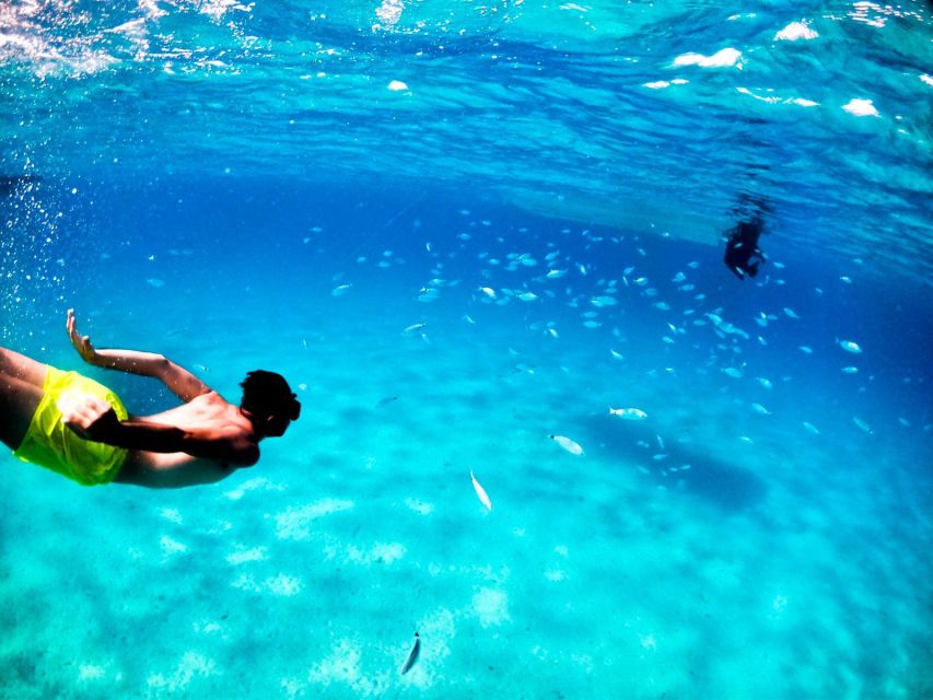 Gulf of Cagliari: Private Boat Tour - Frequently Asked Questions