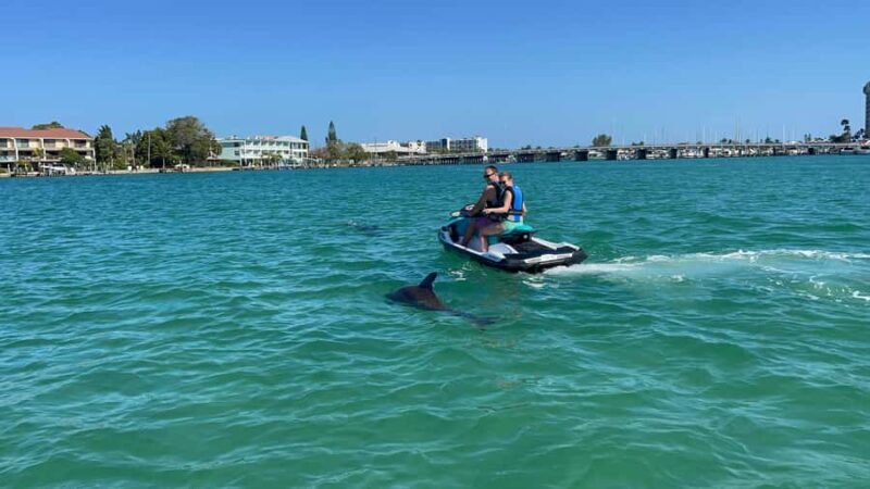 Gulf of Mexico: Guided Jet Ski Tour with Dolphin Watching - Who Should Consider This Tour?