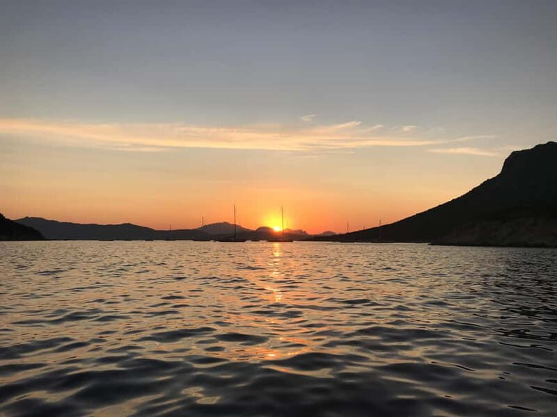 Gulf of Olbia: Dolphin watching by dinghy - An In-Depth Look at the Dolphin-Watching Adventure
