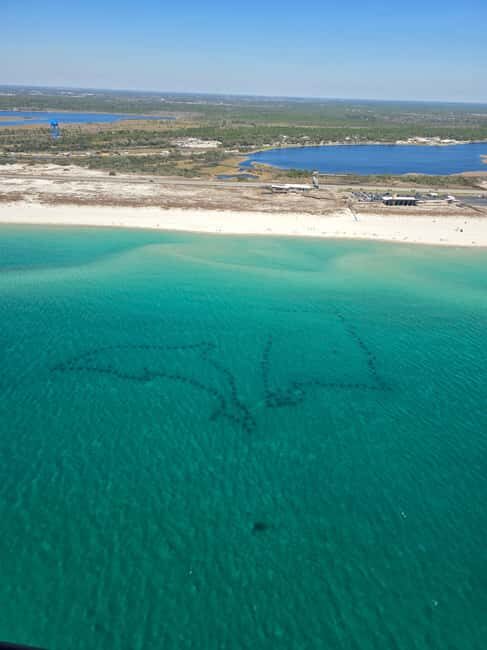 Gulf Shores, Orange Beach: 30-Minute Helicopter Tour - Who Will Appreciate This Tour?