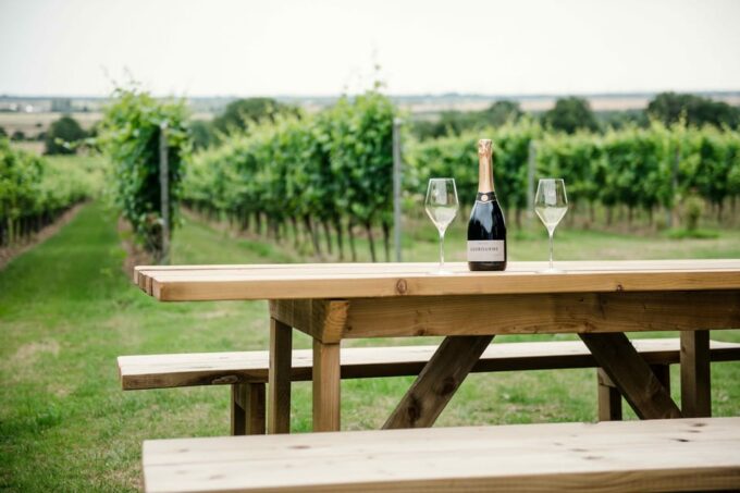 Gusbourne Wine Tasting 11am - Exploring the Estate