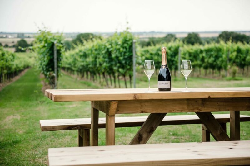 Gusbourne Wine Tasting 2pm - Accessibility and Suitability