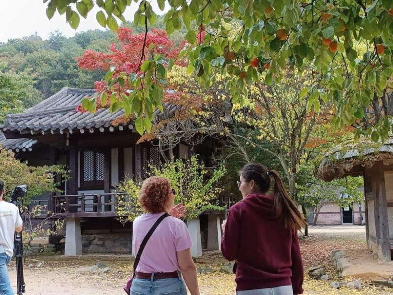 Gyeongbuk Day Trip: Omija Ssamjang Making & Mungyeong Trek - Pricing and Value