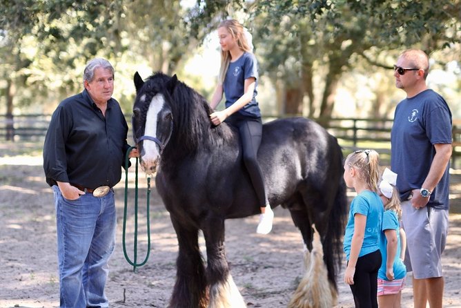 Gypsy Gold Horse Farm Tour - Reviews and Testimonials