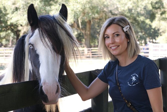 Gypsy Gold Horse Farm Tour - Booking Information