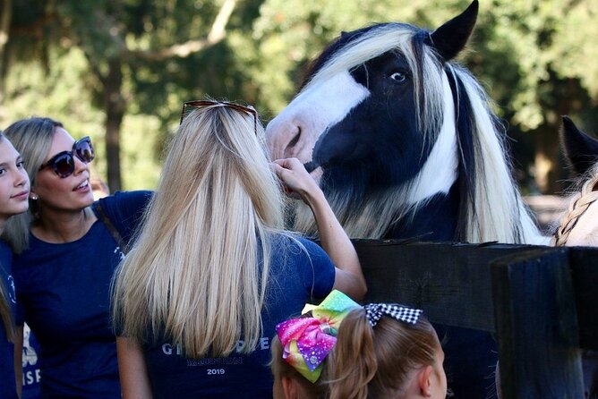 Gypsy Gold Horse Farm Tour - Frequently Asked Questions