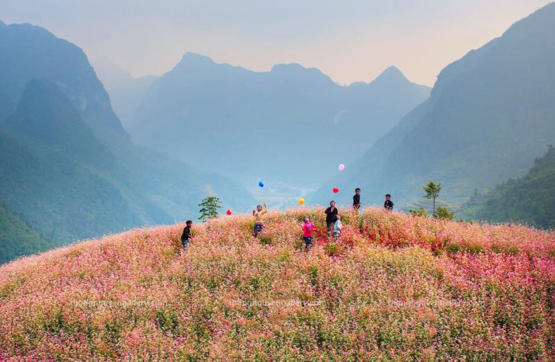 Ha Giang Loop 4 Days With Easy Rider ( From Hanoi or Sapa) - Customer Feedback