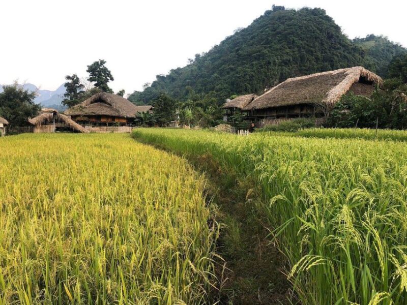 Ha Giang Trekker in 3D3N - Transportation Details