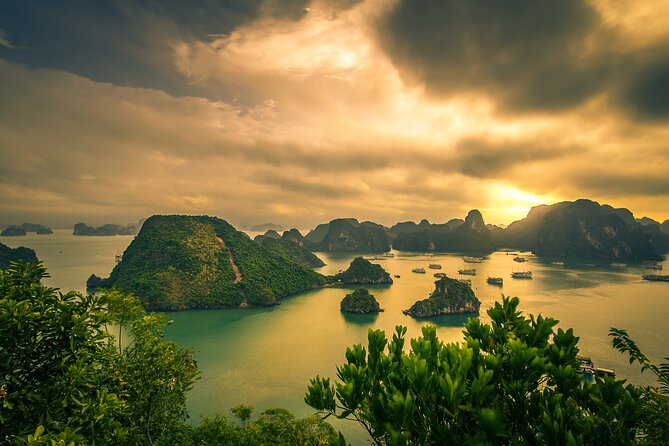 Ha Long Bay Cruise Day Tour-Cave, Kayaking,Ti Top Island & Lunch - Meeting and Pickup Arrangements